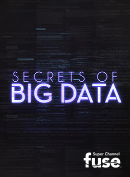 78113311 | Secrets of Big Data 