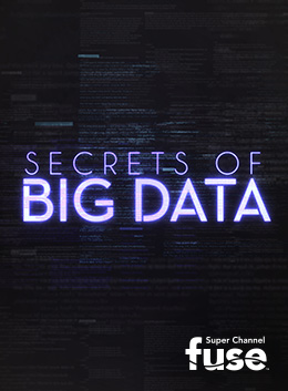 78113311 | Secrets of Big Data 