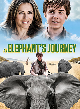 78097733 | Elephant&#039;s Journey; An 
