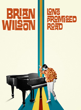 78130050 | Brian Wilson: Long Promised Road 