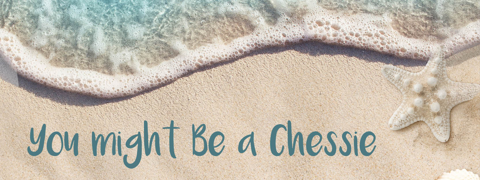You Might Be A Chessie 